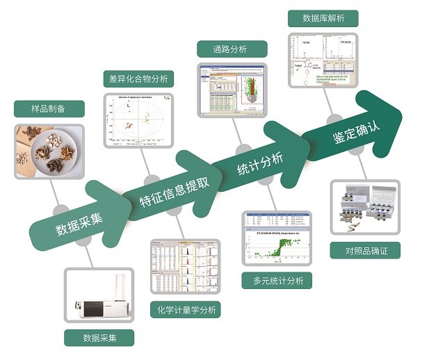 植物代谢组学分析服务(图1)