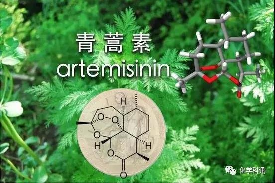 上海药物所青蒿素衍生物红斑狼疮候选新药进入II期临床(图1)